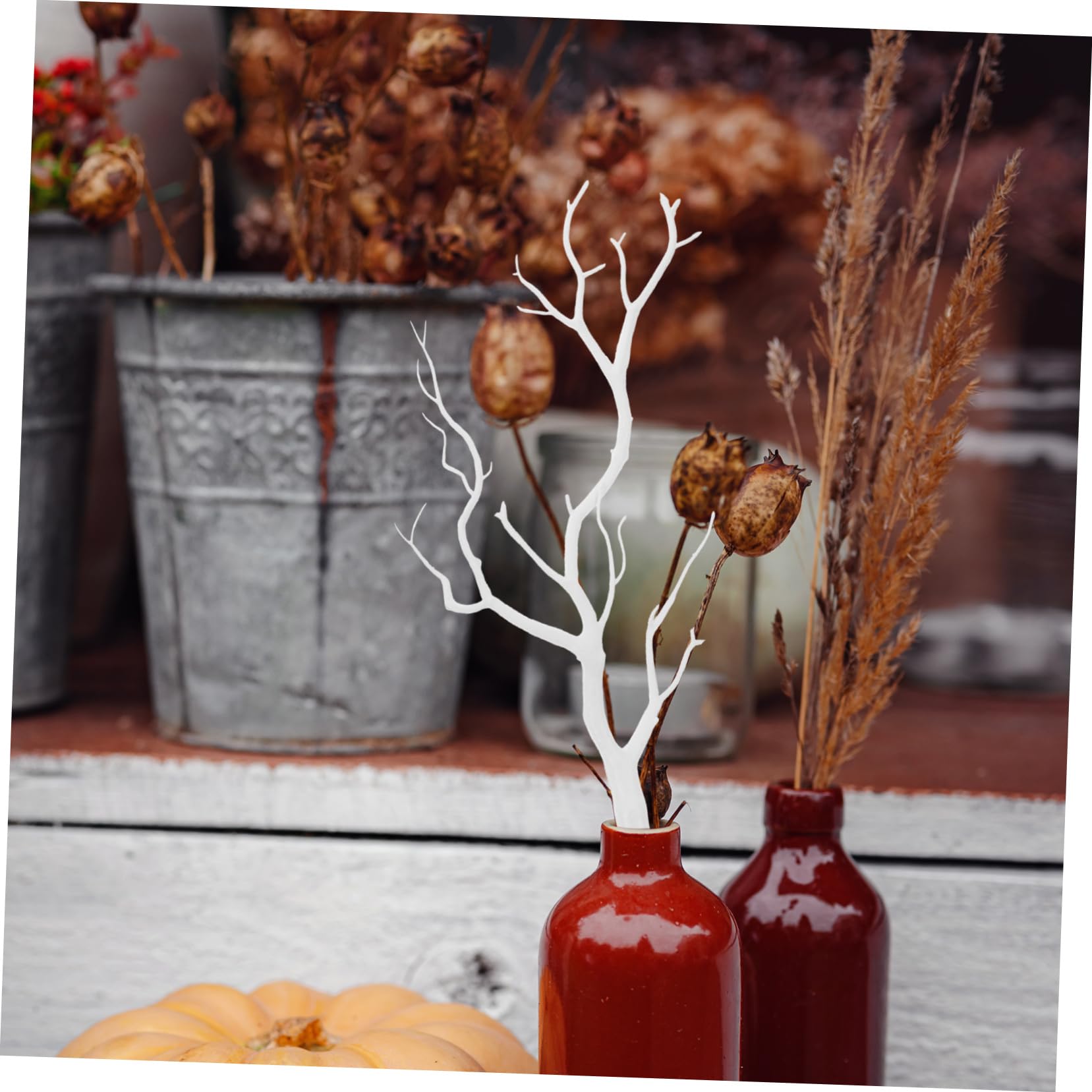 Amazon | Hoement 2本 ドライ 枝 白 花 花瓶 白 枝 白樺 木 飾り 木 枝