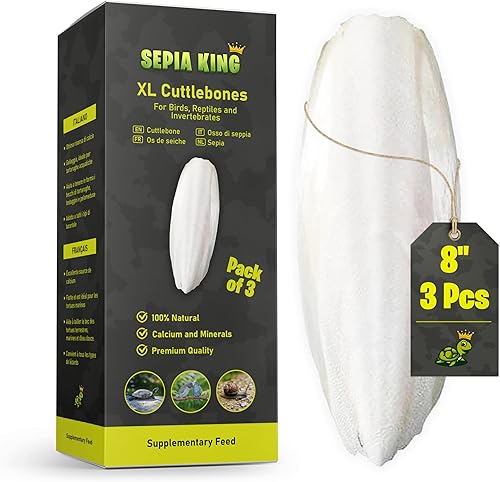 Extra grande - Suplemento de calcio 100% natural - Cuttlebone Premium Perfecto para pájaros, tortugas, caracoles, reptiles - Paquete de 3