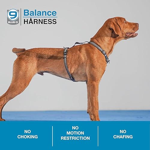 Miniatura 4 de Blue-9 Arnés de equilibrio reflectante con hebilla y cuello, ajuste totalmente personalizable sin tirones con costuras reflectantes 3M, ideal para