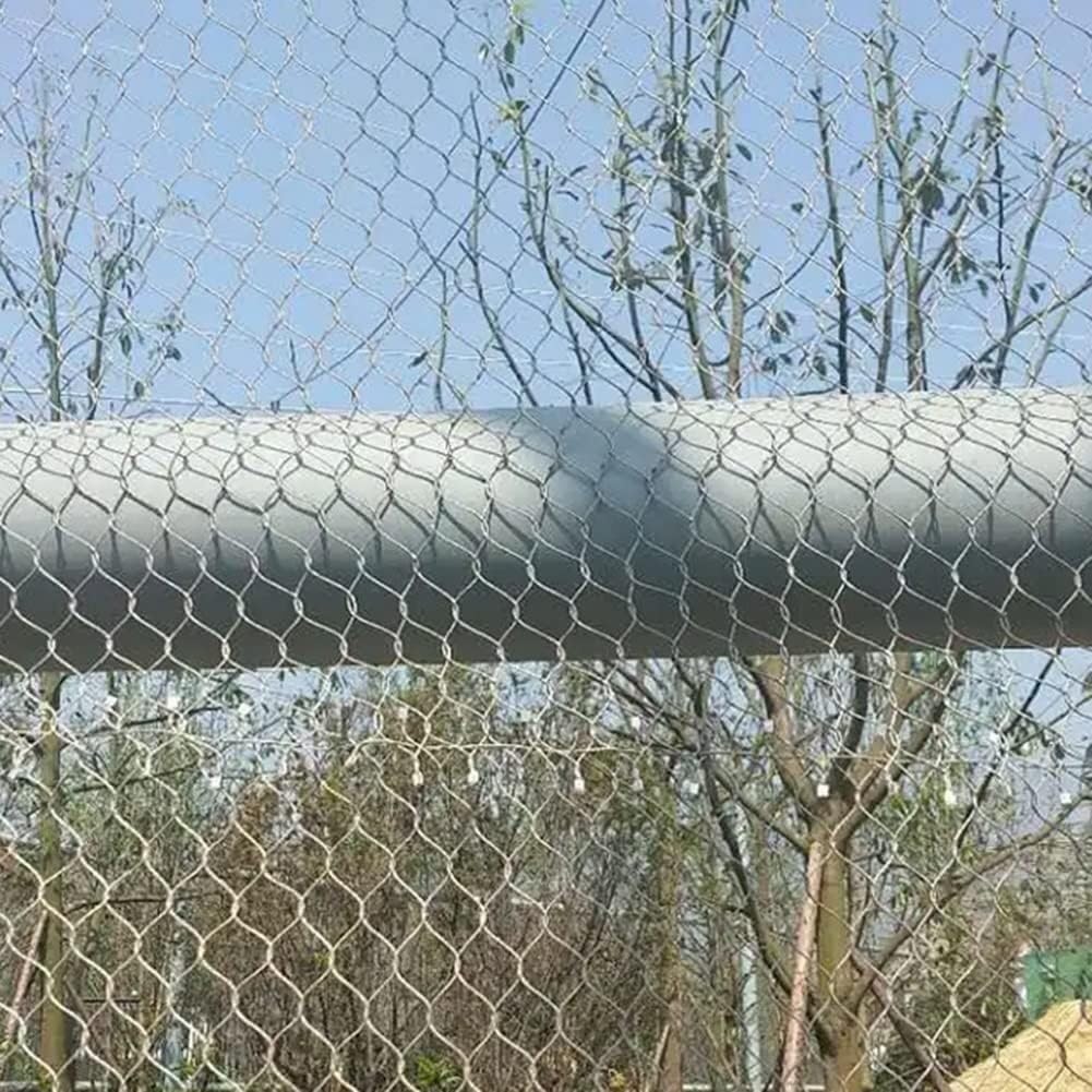 Protecta Pro 6 Ft Web