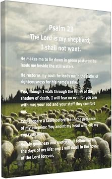 shangtiezao Psalm 23 Painting Inspirational Poster Bible Verse Framed Canvas Wall Art for Home Church Office Living Room Decor 12x16 Inches.