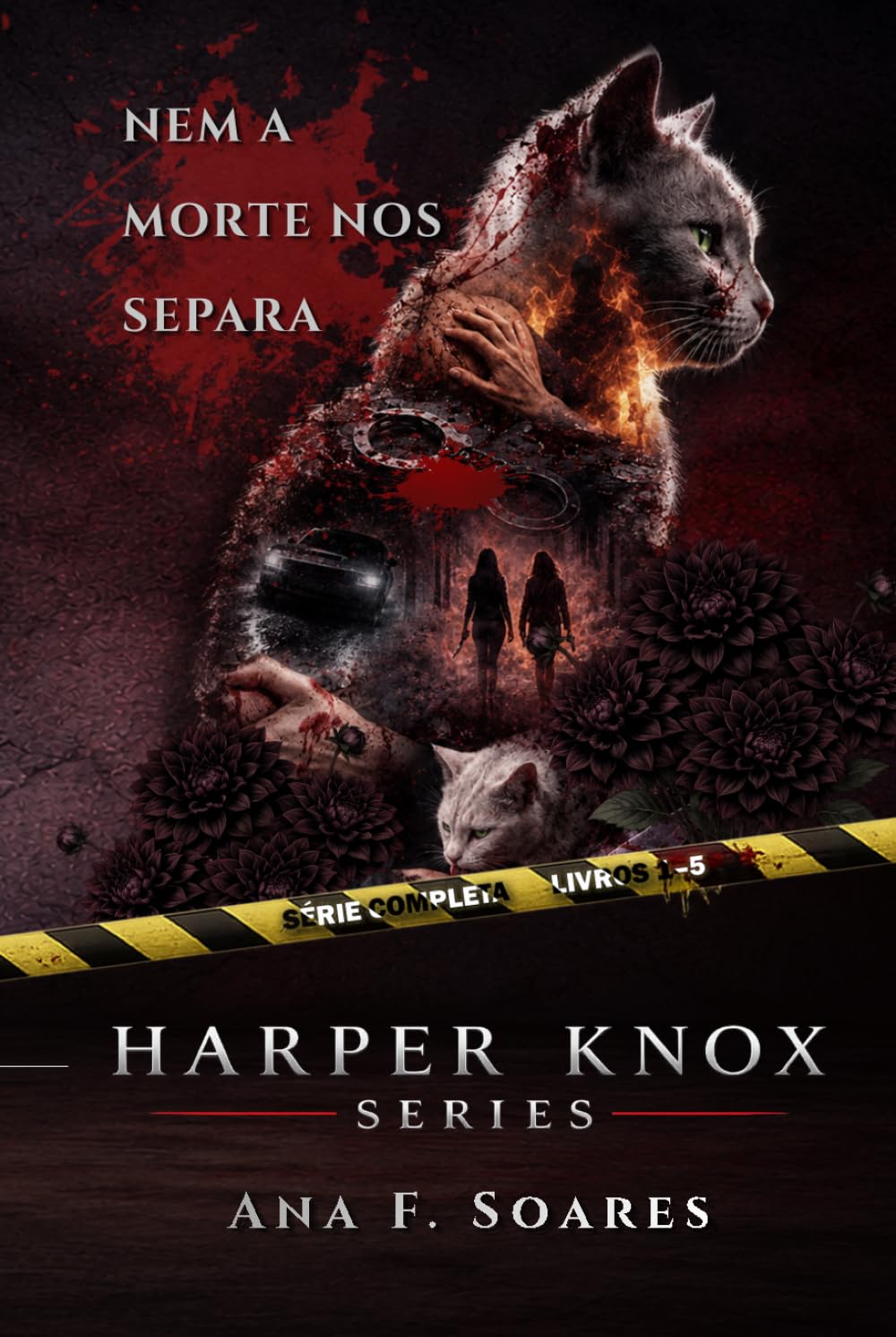 HARPER KNOX SERIES - Edição Completa | Livros 1 - 5: Livros 1 ao 5 (HARPER KNOX SERIES - Português)