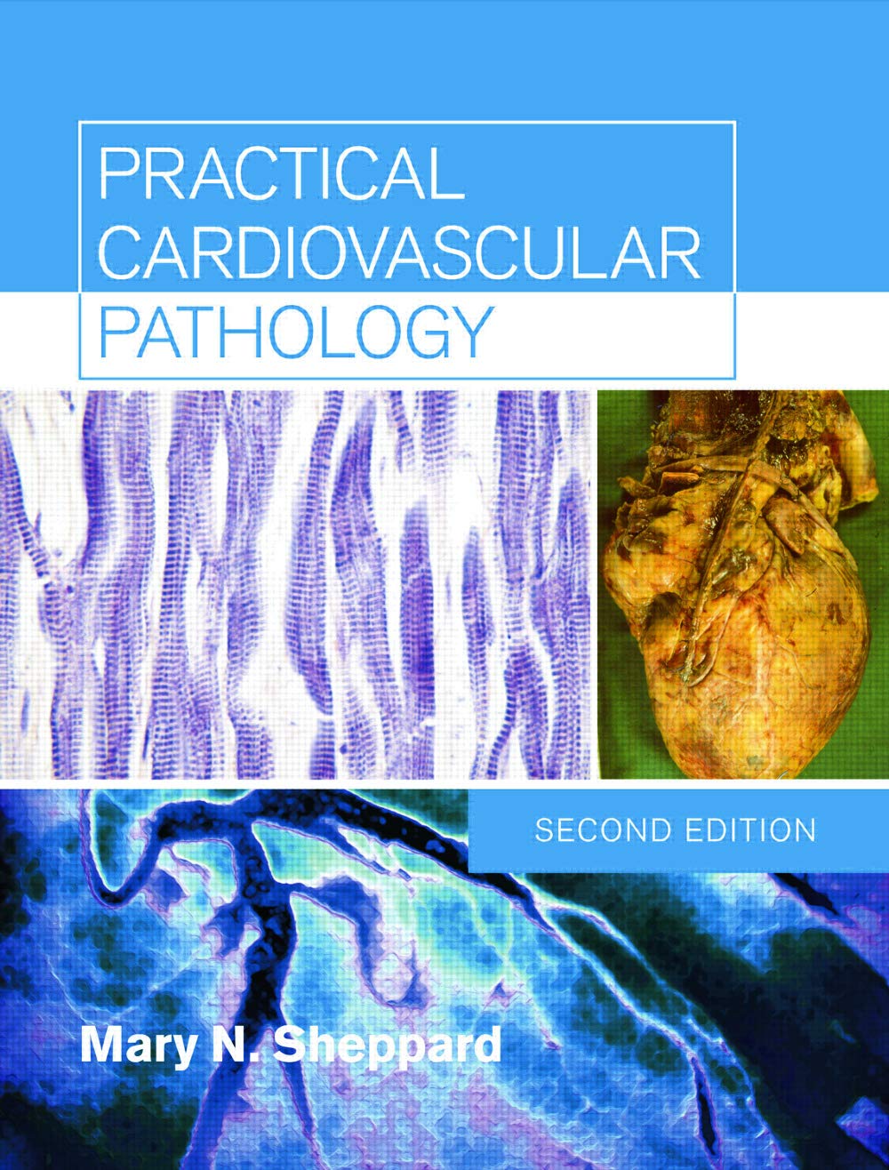 Buy Practical Cardiovascular Pathology — BookShops.in