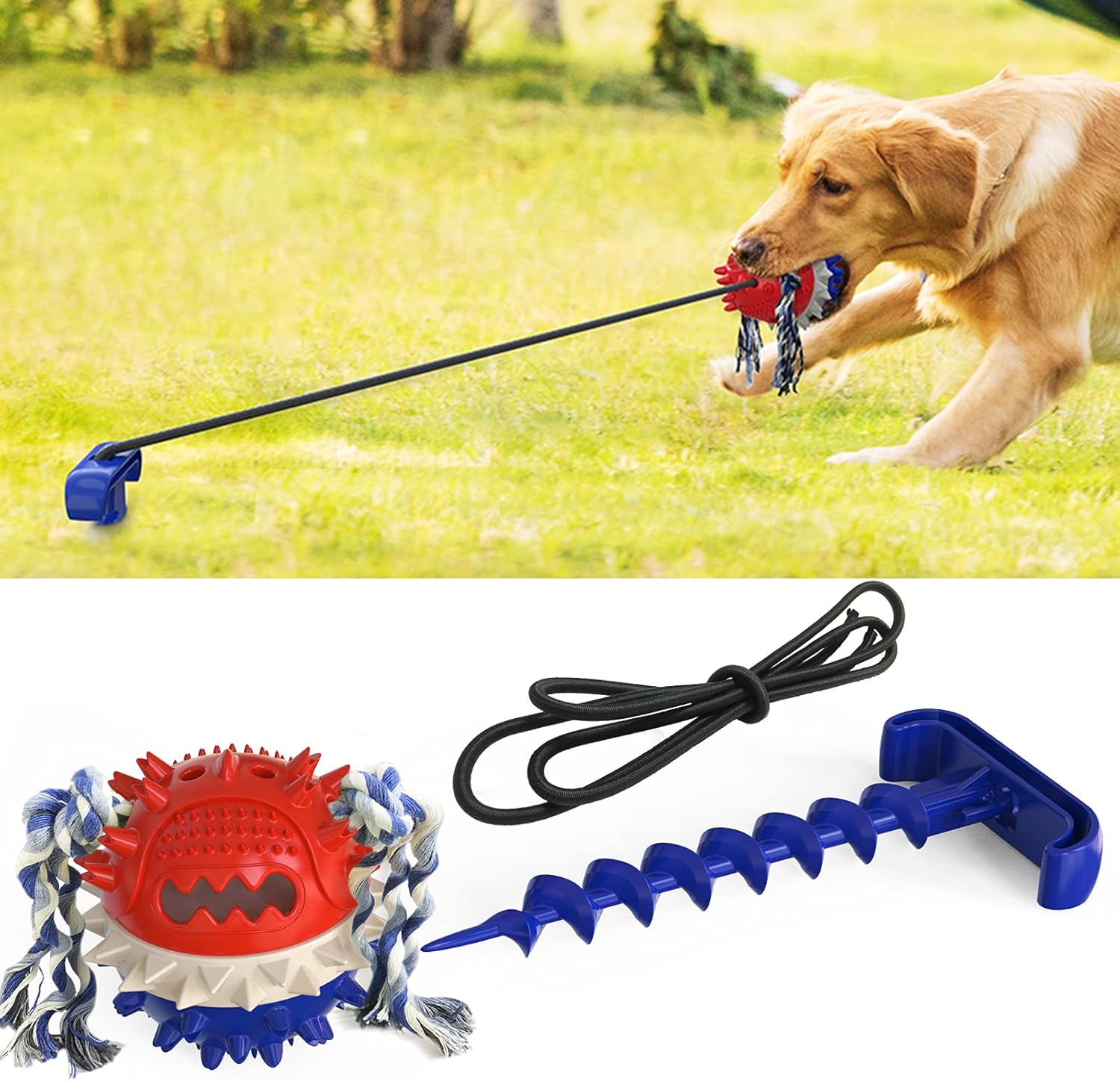dog tether toy