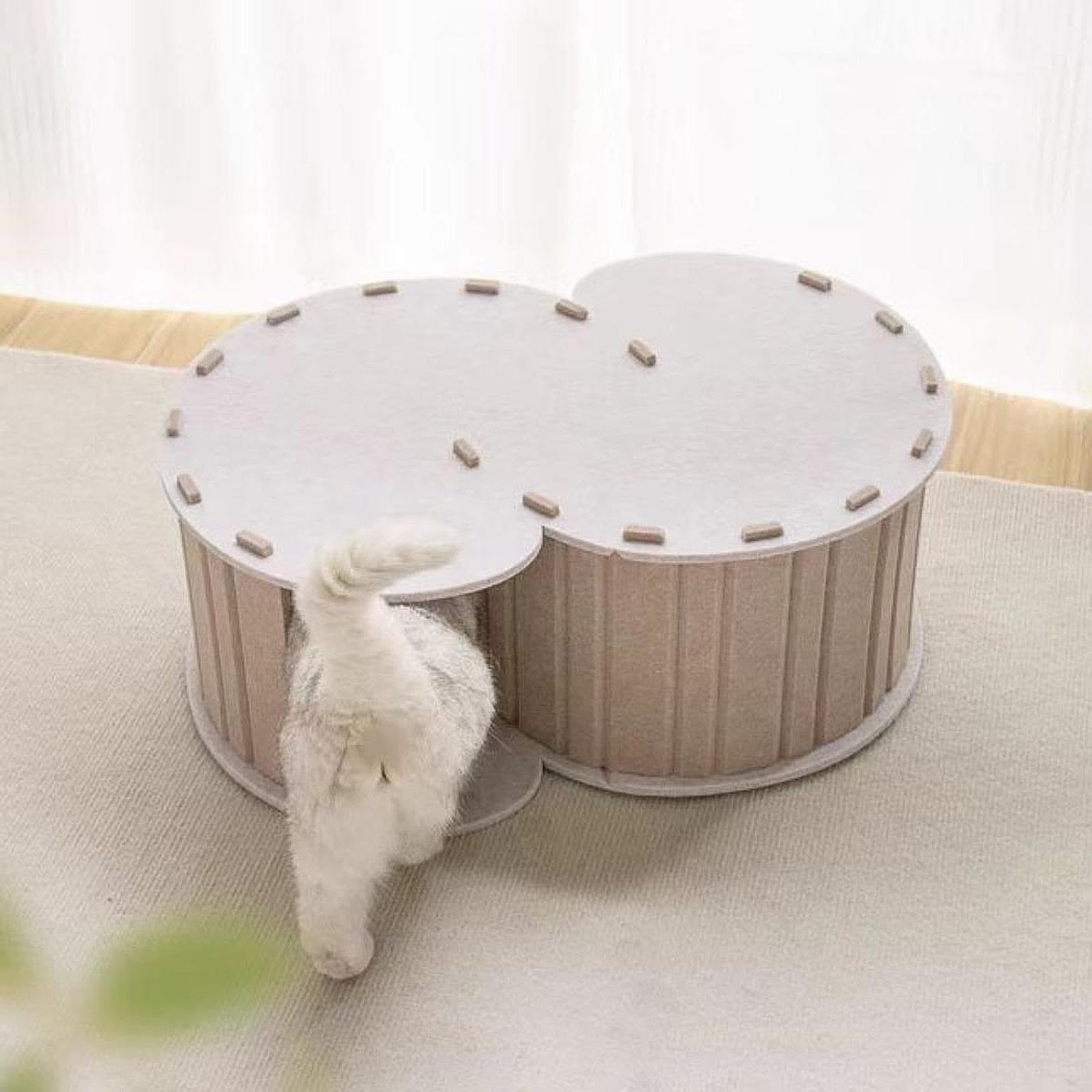 View 4