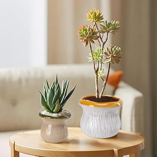 Miniatura 6 de Juego de 2 macetas de cerámica para interiores y exteriores, macetas de mediados de siglo, color azul y rosa