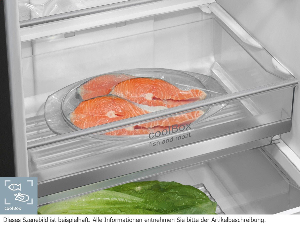 Siemens kg36nxw32 Réfrigérateur/Congélateur/A + +/186 cm Hauteur/258 kWh/an/234 L Partie isotherme/86 L Partie Congélateur/refroidisseur dans Coolbox, il est 2–3 ° comme réfrigérateur