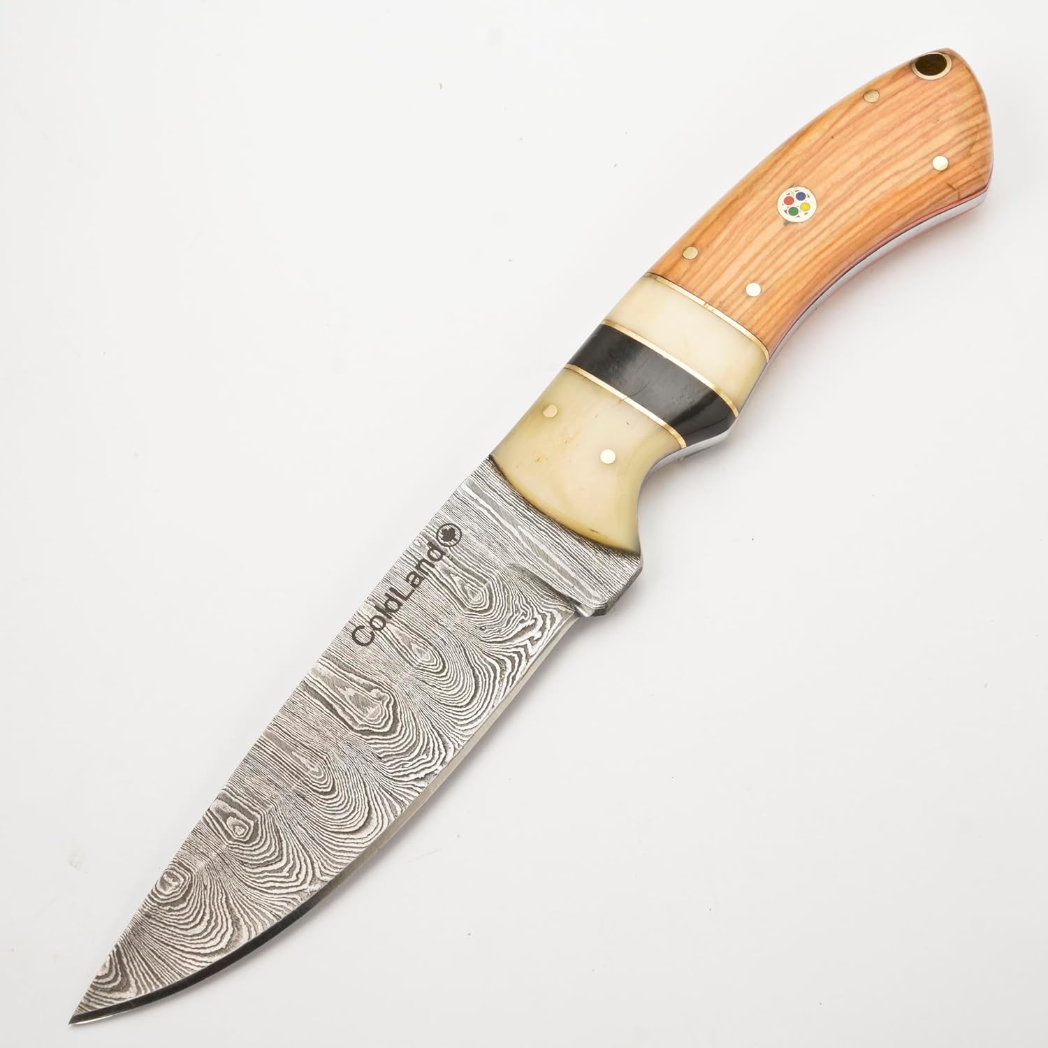 ColdLand Hunting Knife – 8.5 Inch Full Tang Damascus Knife with Sheath | Kao Wood & Camel Bone Handle | Fixed Blade Hunting Knives for Hunting, Skinning, EDC, Picnic & Camping