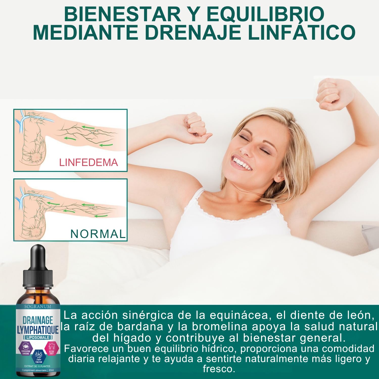 Drenaje linfático liposomal | Circulación sanguínea, flebitis, presión arterial | 11 plantas tradicionales (diente de león, bardana, equinácea) para la eliminación de toxinas | 60 ml