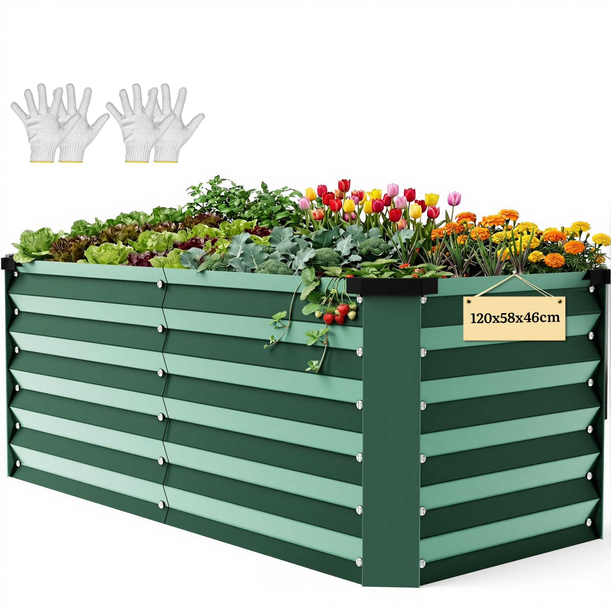 DWVO Raised Beds for Garden,319L Raised bed Metal,0.35mm Galvanised Steel galvanised planter with Safety Edging&4pcs Support Rod for Garden Vegetables Fruit(Green 120X58X46CM)