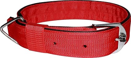 IBLAY Dog Belts for Big Dogs - 2 inch Multicolor - Dog Collar Adjustable Neck Size 62-80 cm Specially for Heavy & Large Breed - pata for Dogs Collar