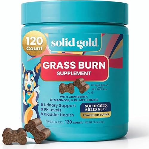 Solid Gold Masticables reparadores de hierba para orina de perro, neutralizador de orina de perro para césped con tracto urinario, riñón, vejiga y