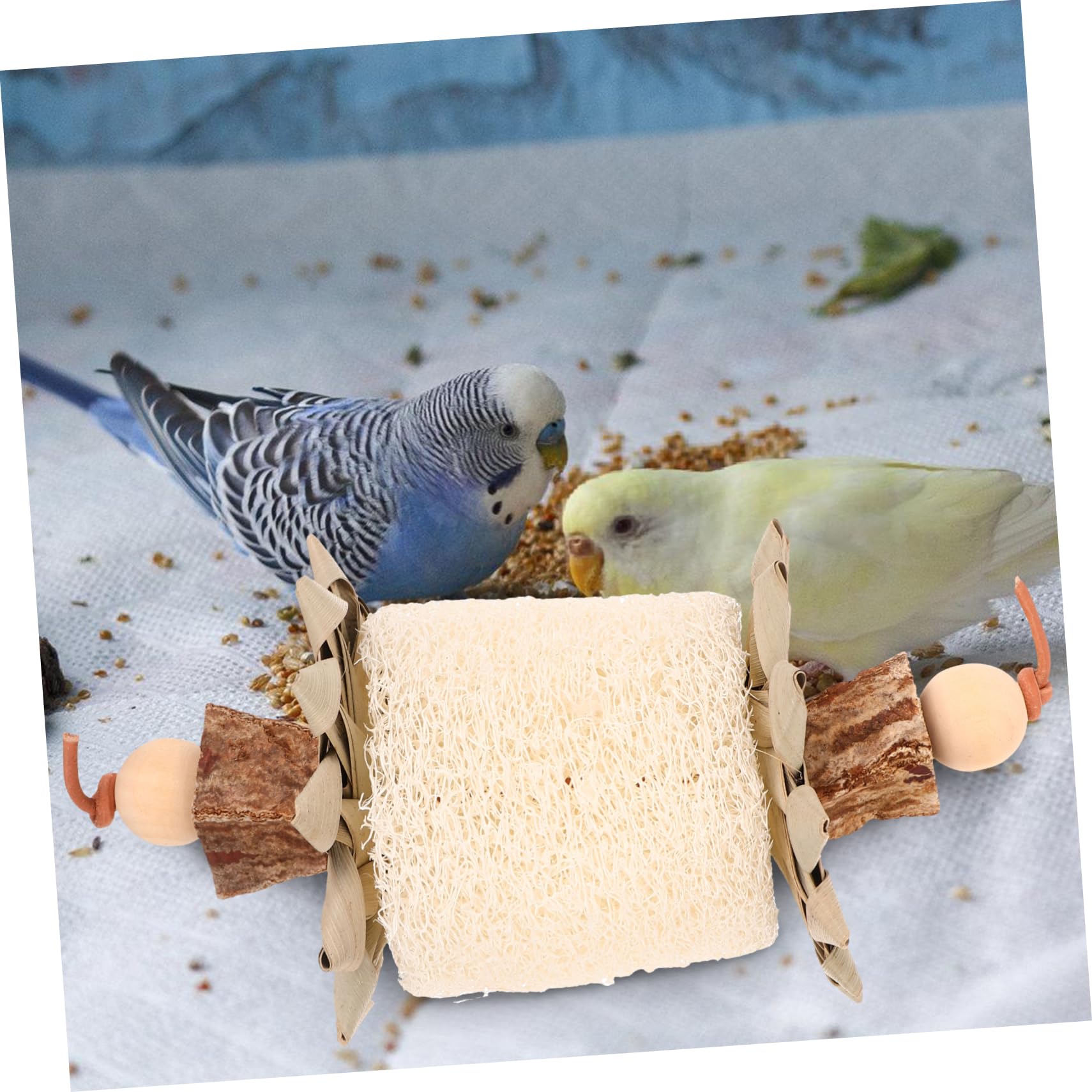 Jouet à Mâcher pour Oiseaux Suspendu en Loofah et Feuilles de Palmier