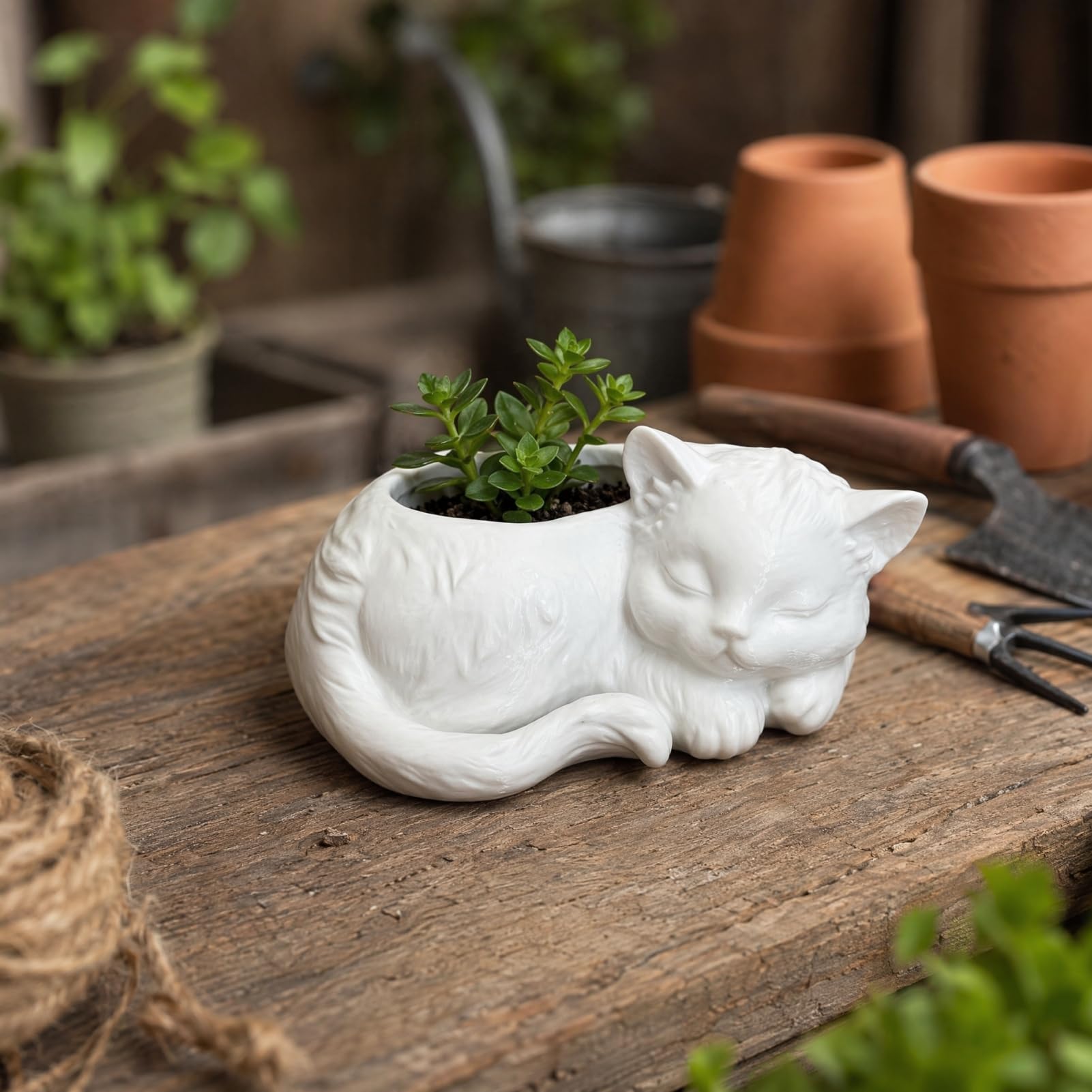 Quoravel Sleeping Cat Flowerpot, Mini Desktop Planter, Decorative Plant Holder for Small Green Plants White