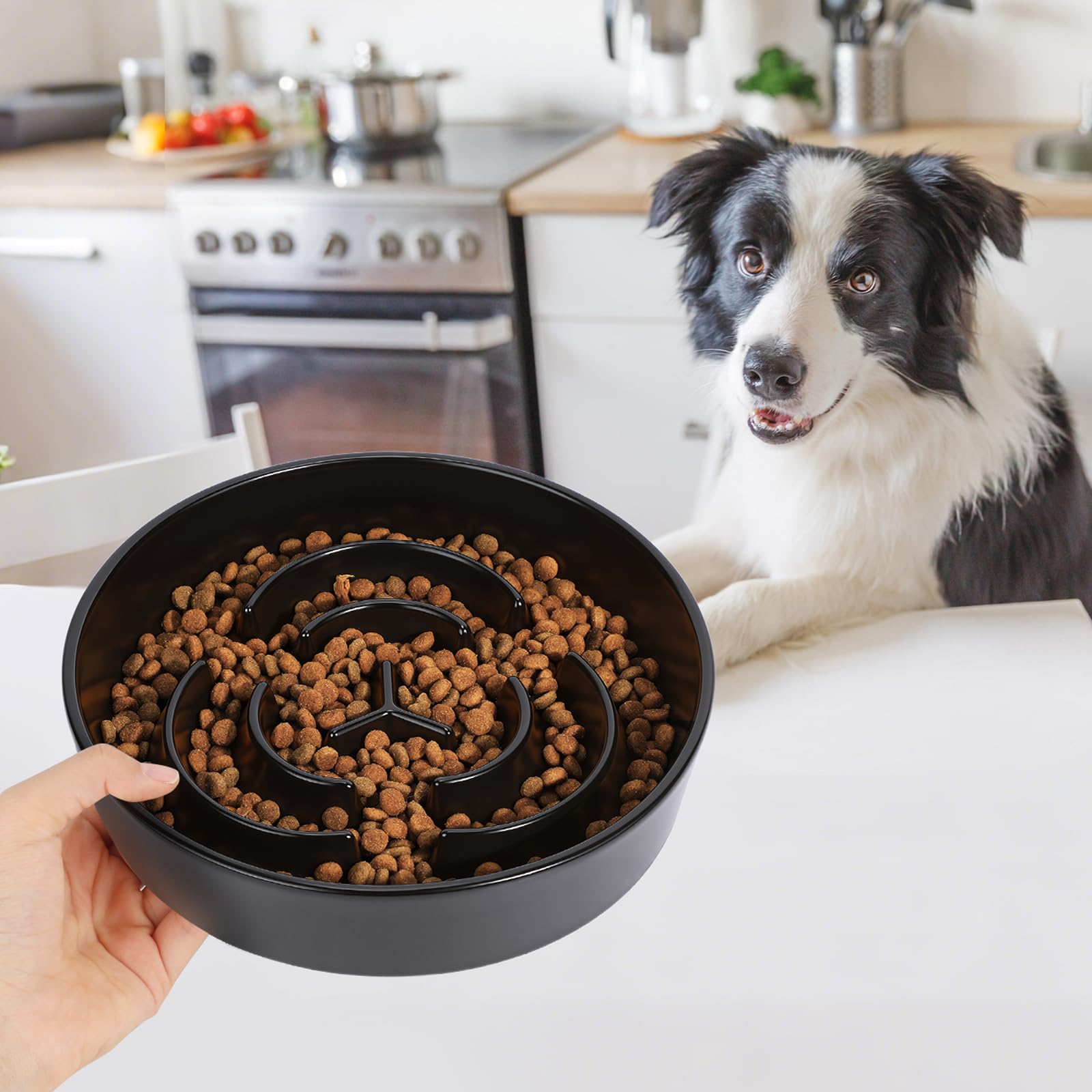PETTOM Ceramiczna miska dla psów, przeciw pętli, Ø 21 cm, miska dla psów, duża mokra karma, miska dla dużych i małych psów