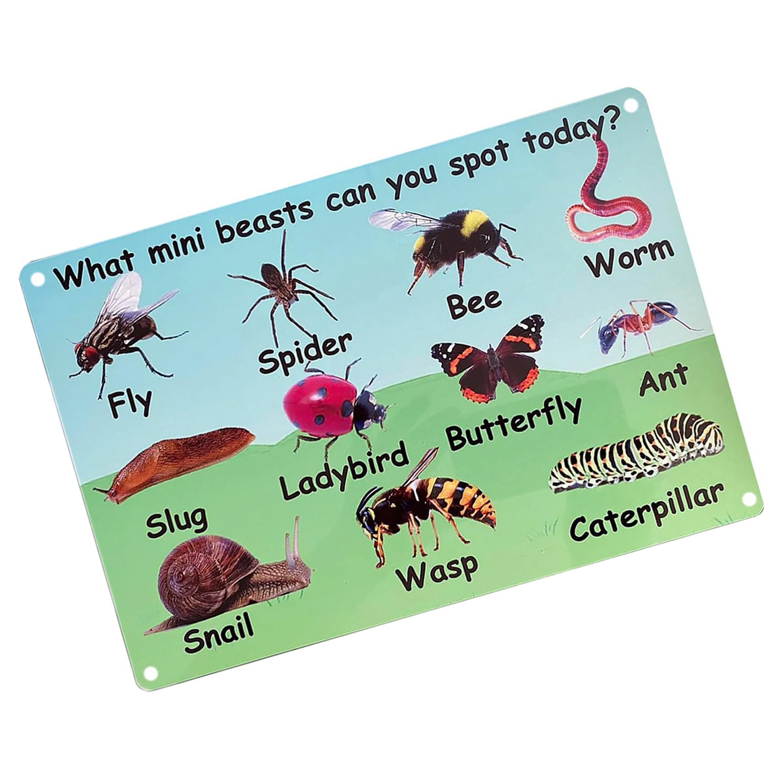 Hsioluted Animals Teaching Board Preschool Animals Wood Hanging Plaques Sign Early Learning Play Wall Hanging for Recognition Wood Plaques