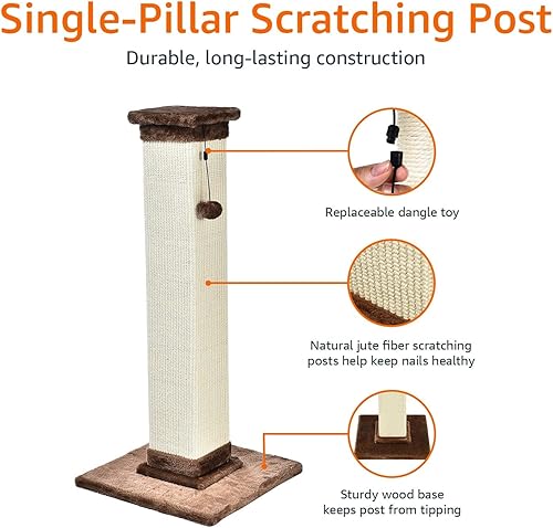 Amazon Basics Sturdy Cat Scratching Post for Indoor — detail view