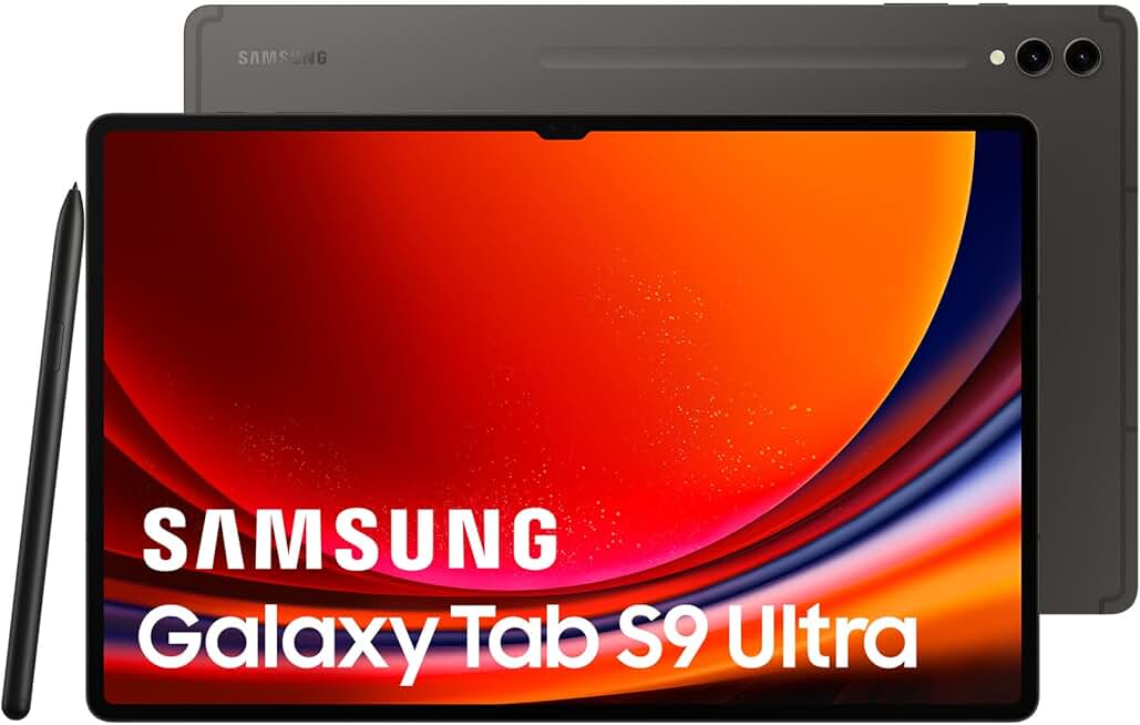 Samsung Galaxy Tab S9 Ultra SM-X916B 5G 256 GB 37.1 cm (14.6