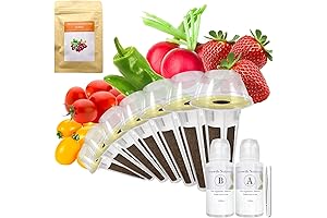 Strawberry Patch Growing Kit: Nurture Vibrant Berries Indoors