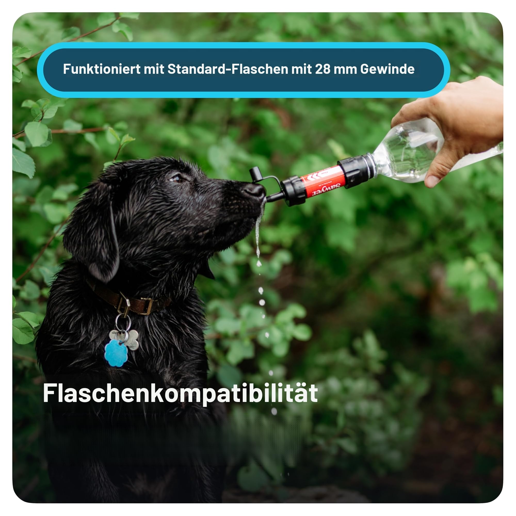Sawyer Mini PointONE Wasserfilter Outdoor Notversorgung enfernt 100% Mikroplastik und 99,99999%* Aller Bakterien