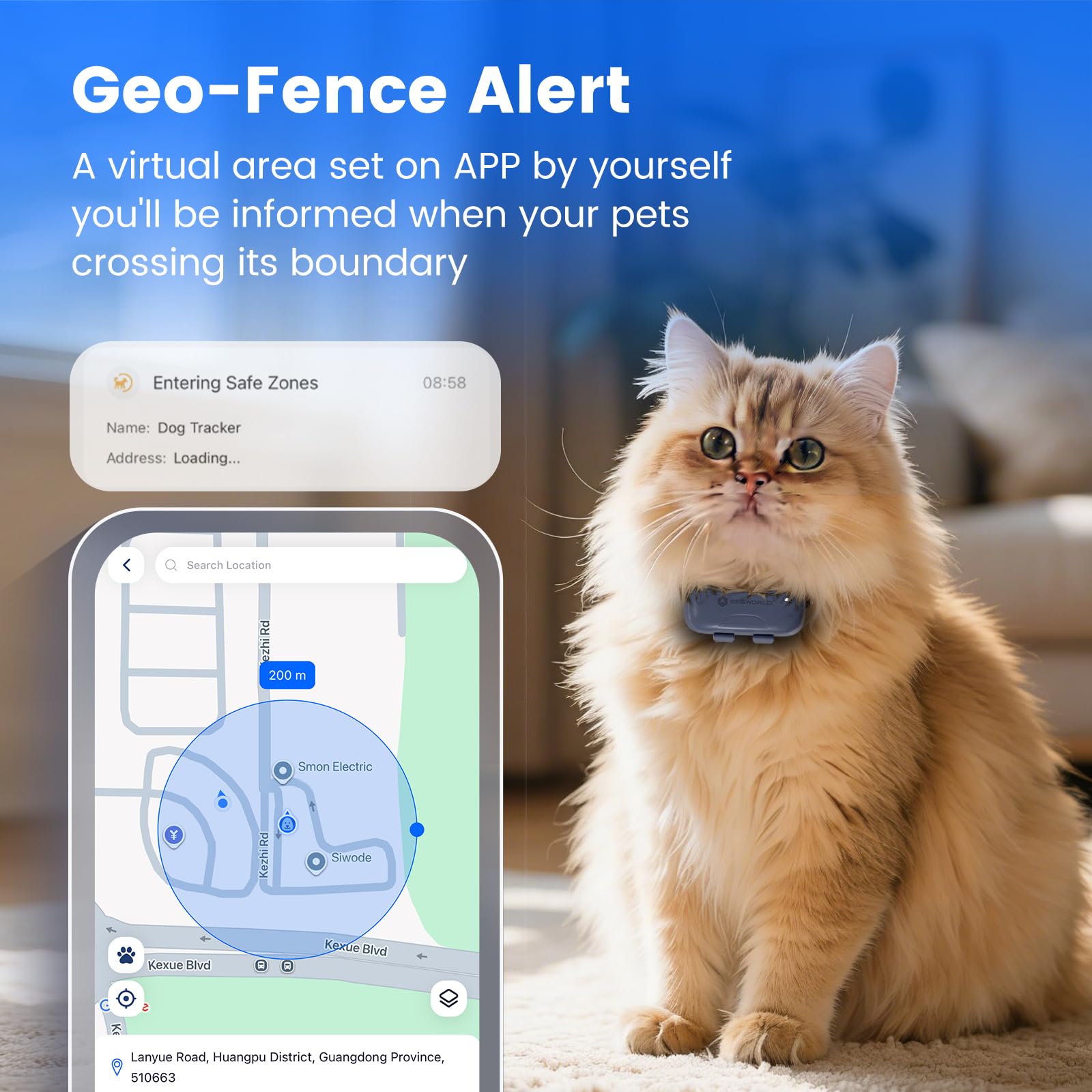 SEEWORLD Dispositivo di localizzazione per cani con localizzazione in tempo reale | Monitoraggio attività del sonno | Geo-Fence per tutti i collari - iOS e Android (abbonamento richiesto)