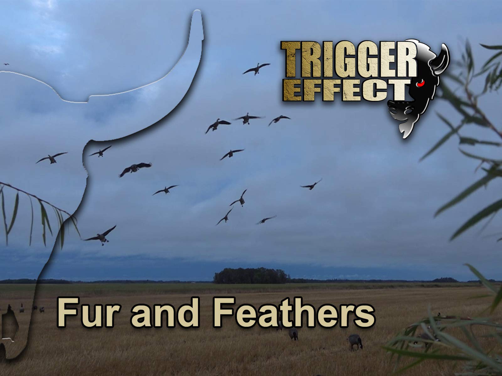 Watch Trigger Effect Prime Video