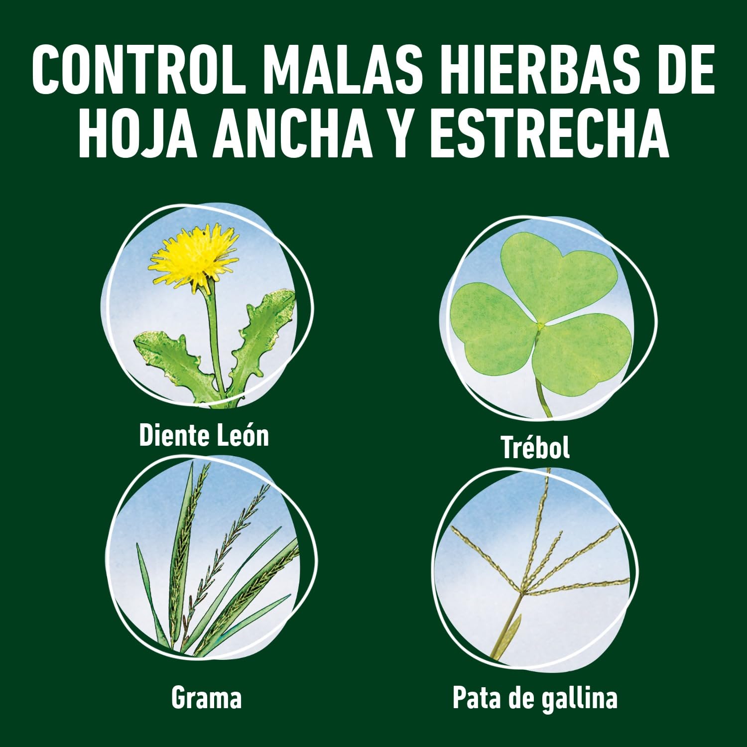 Compo Herbicida Total 225ml