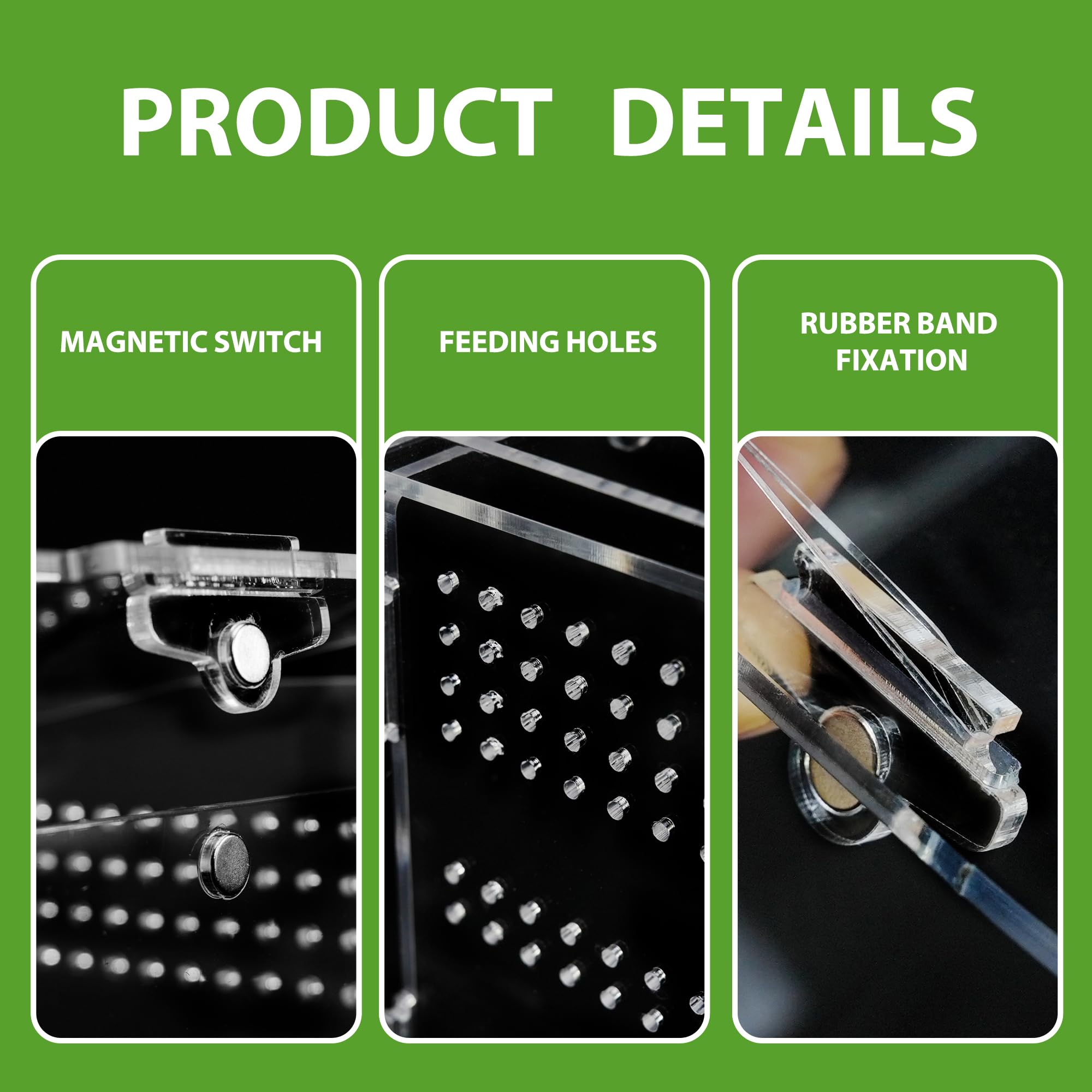 Springspinnen Terrarium Aus Acryl - 8x8x14 Cm Magnetisches Gehege Mit Belüftung