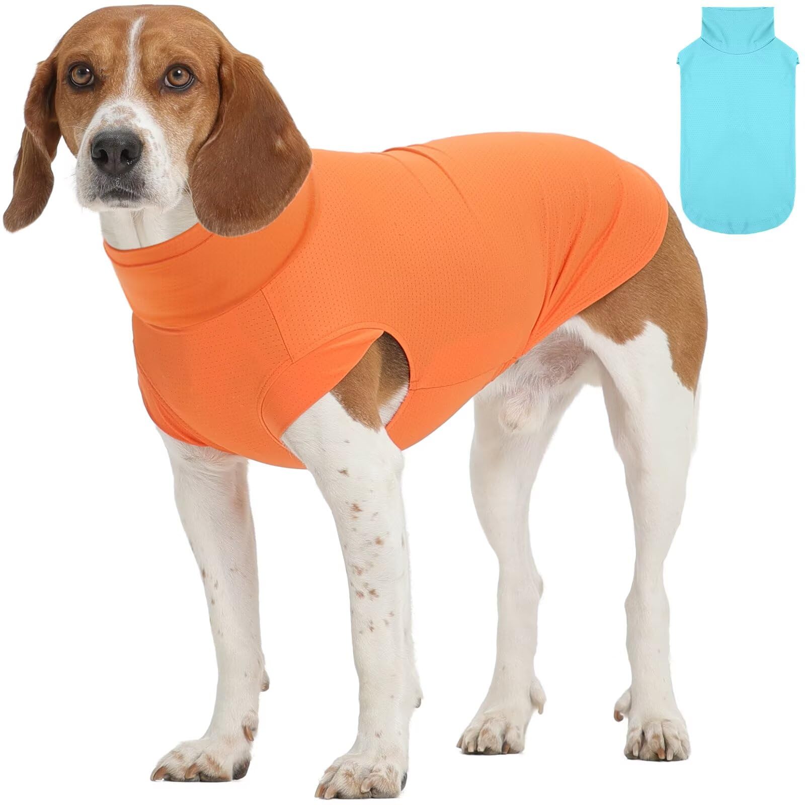 IECOii Set of 2 Dog Tshirts for Large Dogs in Summmer,Soft Cooling Shirt with Breathable Mesh Material for Instant & Long Lasting Comfort in Hot Weather Dog T-Shirts Orange&Blue XL