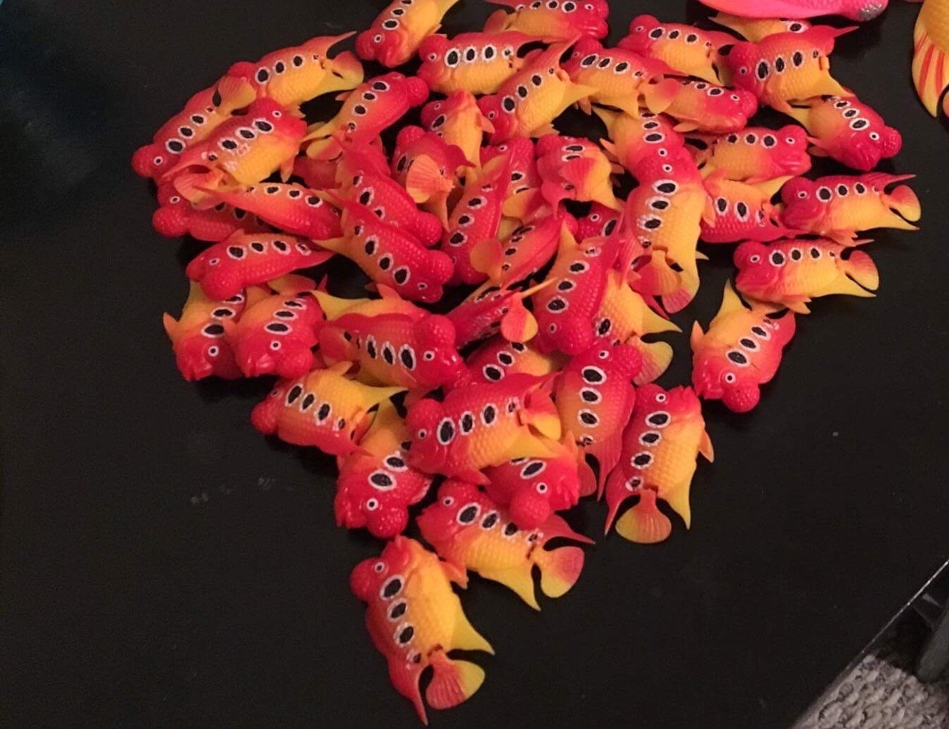 Buy Flowerhorn Fish Toy (Small) Online at Low Prices in India Amazon.in