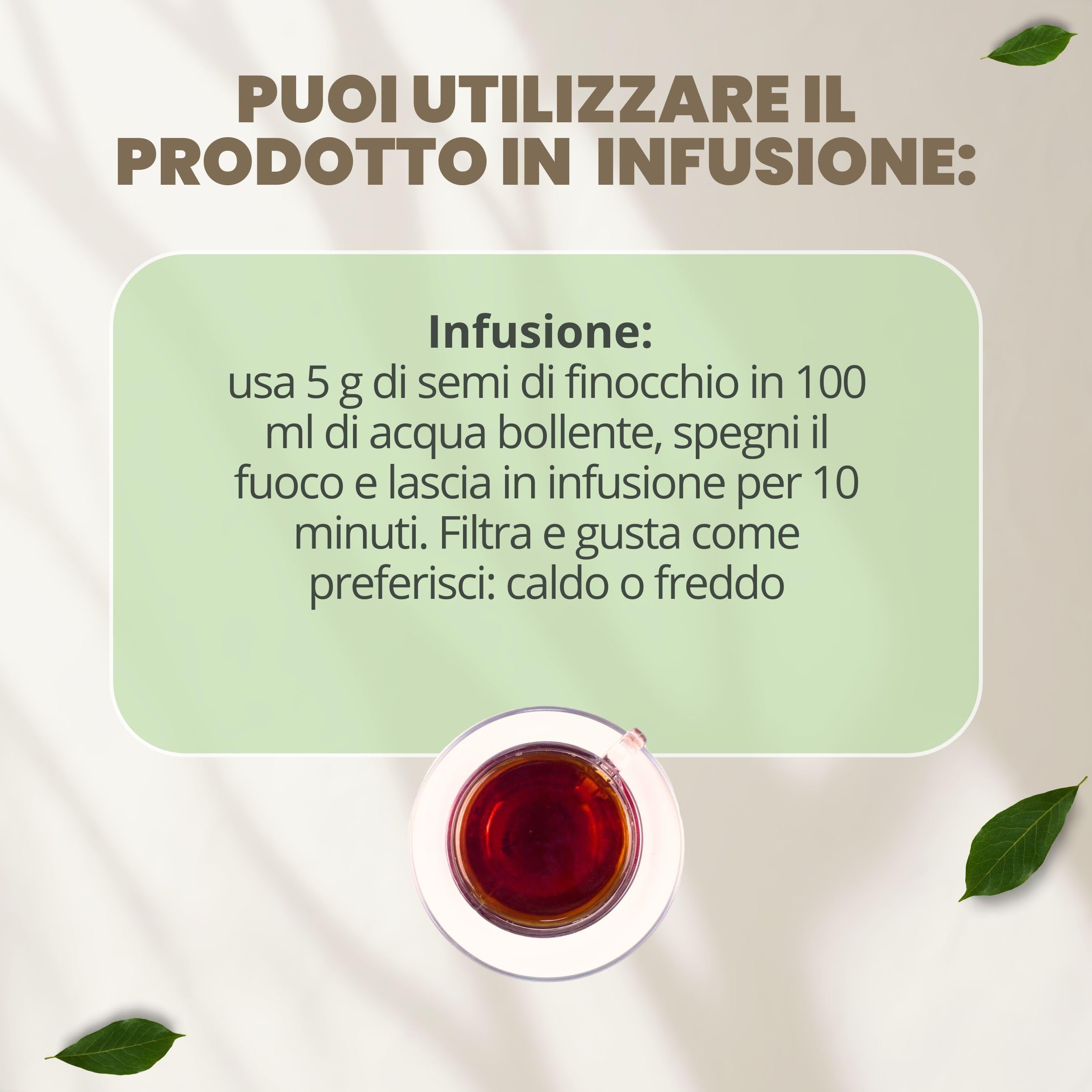 Patrizio Breseghello - Semi Finocchio Frutti Verdi Extra 500 g BIO, Benessere Intestinale e Digestione, Semi di Finocchio per Tisana e Infuso 100% Naturali