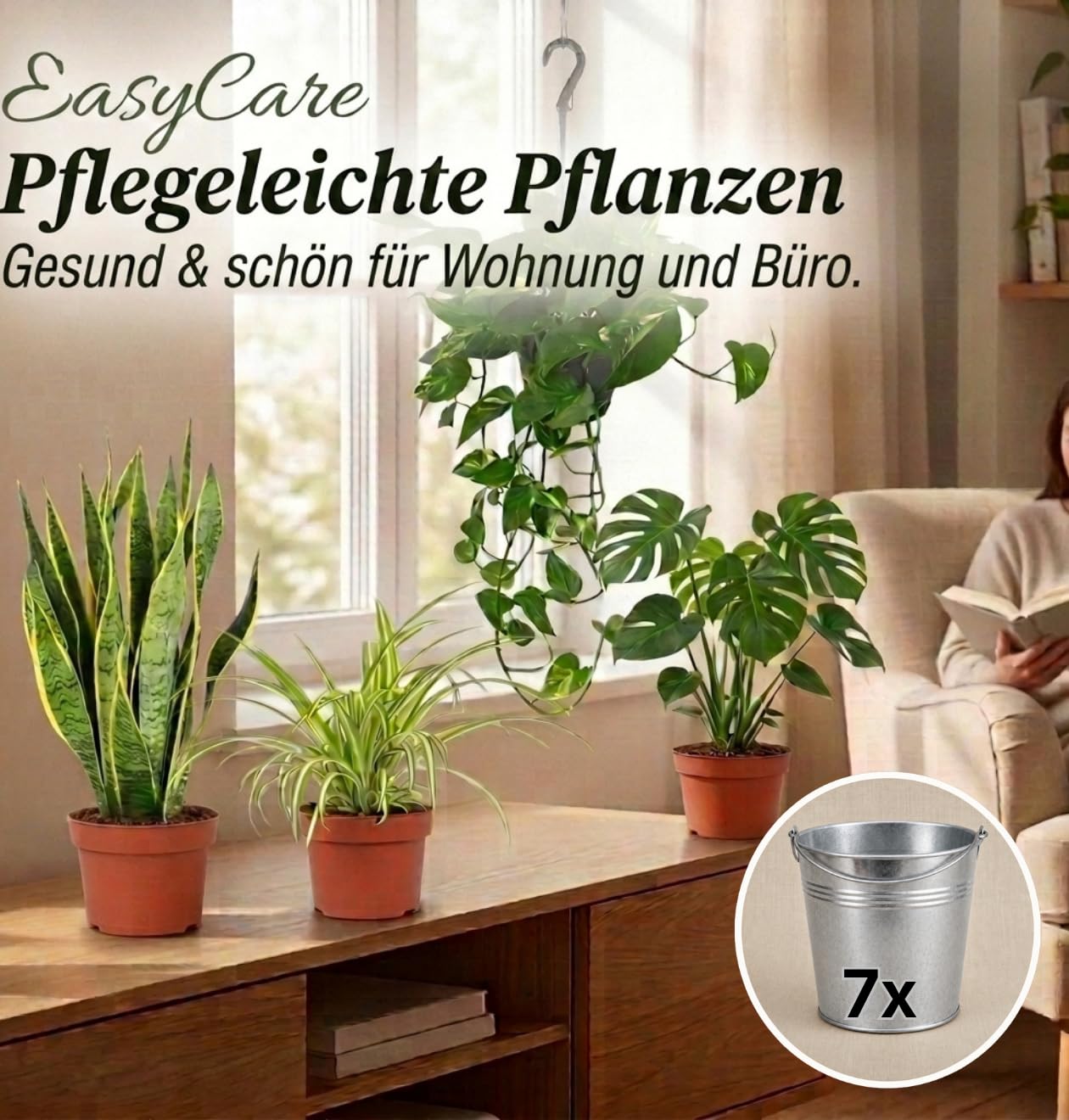 “EasyCare” Pflanzenset + 7x Zinktopf | 7er-Set | Monstera, Sansevieria, Efeutute, Grünlilie, Adansonii, Areca, Spathiphyllum | ca. 30-60 cm | Ø 12-15 cm Topf | Pflegeleichte Zimmerpflanzen