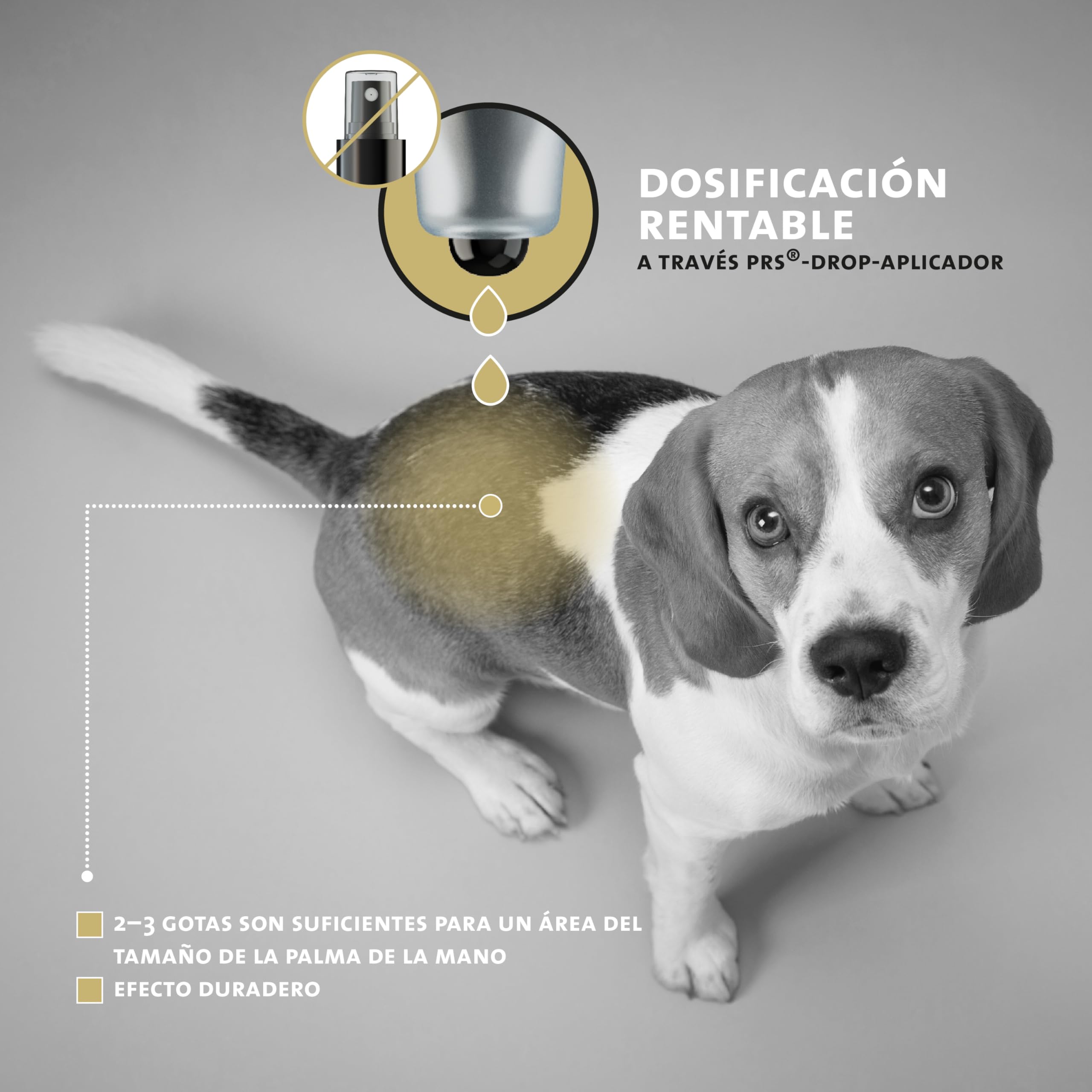 Peticare Anti-parasitario para Perros | contra ácaros, pulgas, Hongos | Alivia el picor y favorece el Proceso de regeneración | Sistema único PRS® para un Efecto Duradero - petDog Protect 2101