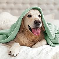 Vista 290 de BEDELITE Fleece Blanket White Throw Blanket for Couch & Bed, Luxury Plush Cozy Fuzzy Blanket 50" x 60", Super Soft Warm Lightweight Throw Blanket