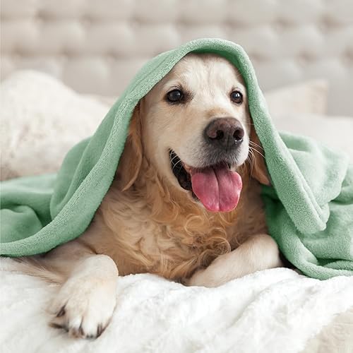 Miniatura 290 de BEDELITE Fleece Blanket White Throw Blanket for Couch & Bed, Luxury Plush Cozy Fuzzy Blanket 50" x 60", Super Soft Warm Lightweight Throw Blanket