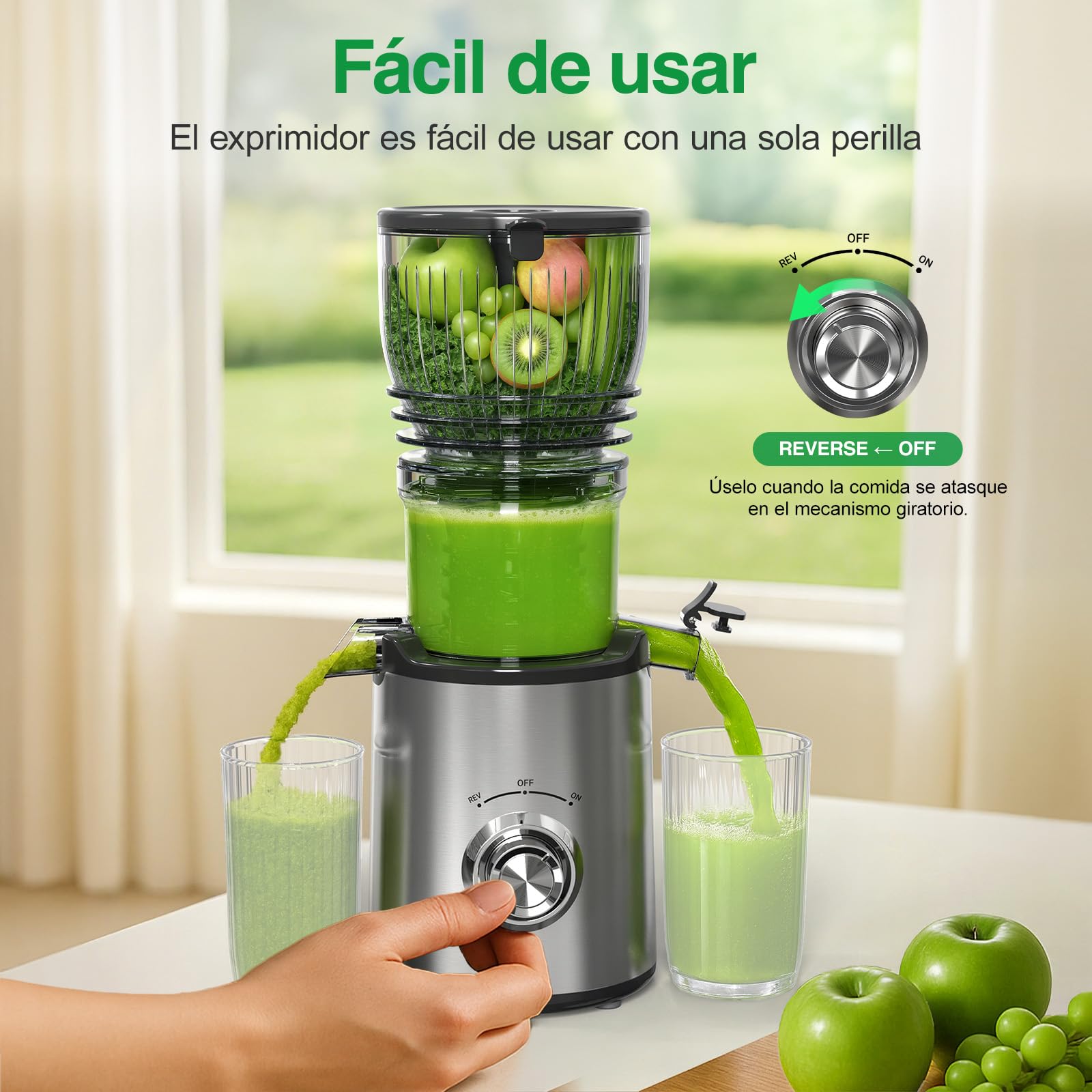 Extractor de Zumos y Verduras, 148mm Capacidad 2L Licuadora Prensado en Frio, 300W Extractor de Jugo Juicer Machine, Función de Masticación Inversa, Fácil de Instalar y Limpiar, Dos Tazas, Uno Cepillo
