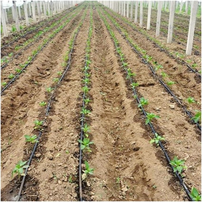 20M 16mm 0.2mm Thickness Drip Irrigation Tape Soaker, for Greenhouse Farm Watering Hose Patch Tape Hose(1Hole Space 20cm)