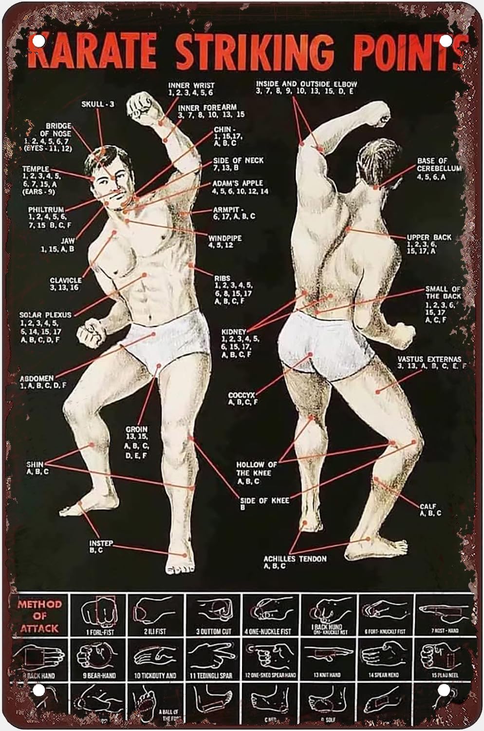 Pibonto Women's Wall Decor Karate Knowledge Metal Sign Karate Striking Points Infographic Posters Vintage Tin Sign Fof Home Venues Club Room Bar Wall Art Decor Plaque Gift For Men 8X5.5 Inch Plaque Tin Sign