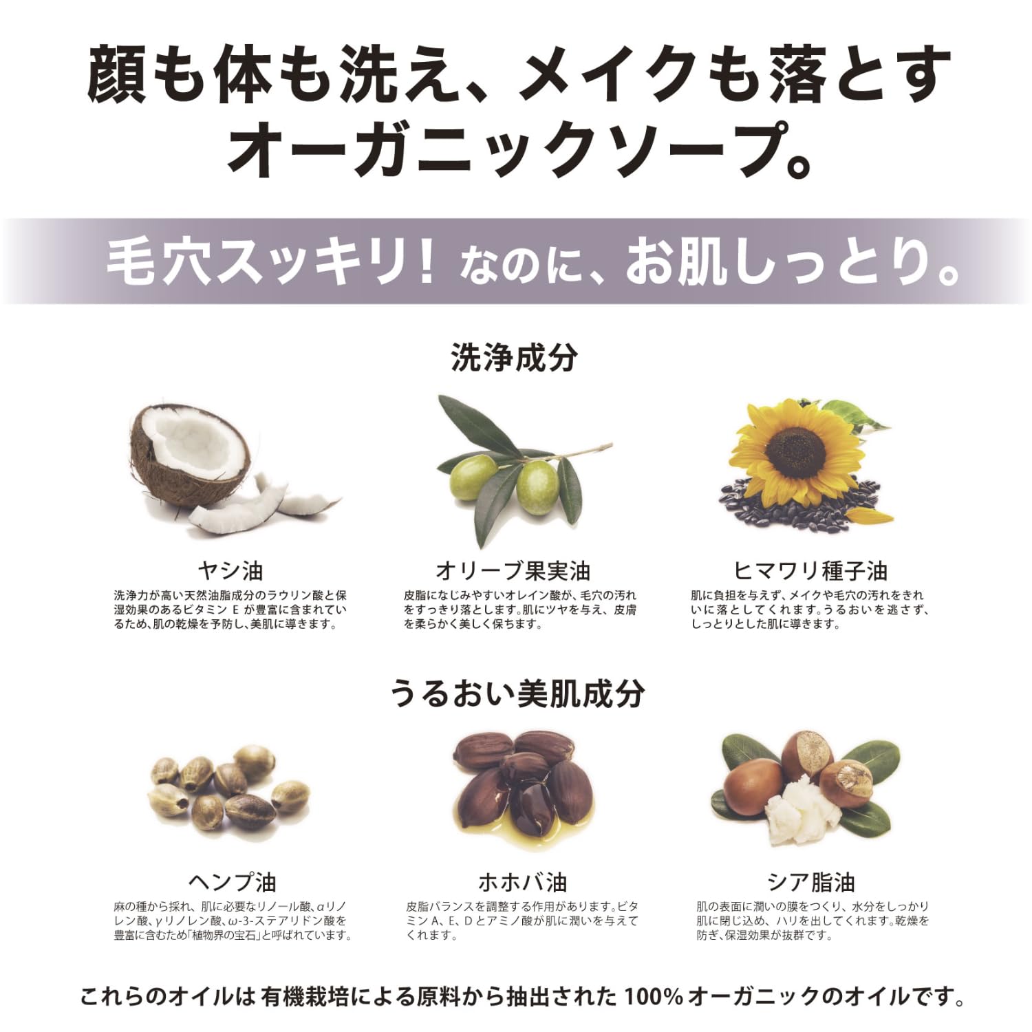 ザパーフェクトアンカー ピュアカスチールソープ ティートゥリー4本セット Amazon | ザ・パーフェクトアンカー ピュアカスチールソープ