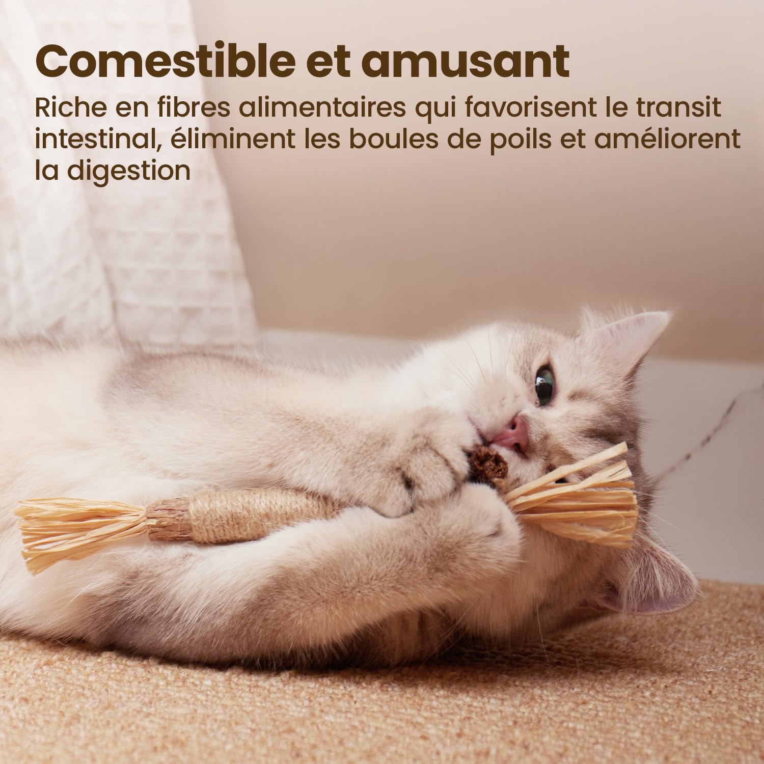 Potaroma Lot de 6 Bâtonnets Naturels pour Chats – Jouets à Mâcher avec Cataire & silvervine pour Jeu Interactif et Nettoyage des Dents