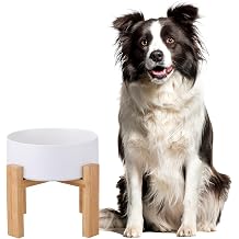 Raised Ceramic Large Dog Bowl - Heavy Weighted Dog Dish with Bamboo Stand - Elevated for Comfortable Feeding - 8.3" W x 8" H - 4.5 Cups 68 fl oz - White