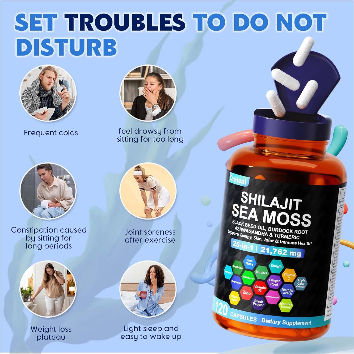 25-in-1 Sea Moss Black Seed Oil Ashwagandha Ginger Shilajit Supplement, with Burdock Root, Rhodiola Rosea, Vitamins C & D3, Shilajit Capsules for Men & Women - Boosts Energy, Skin, Joints & Immunity - Image 3