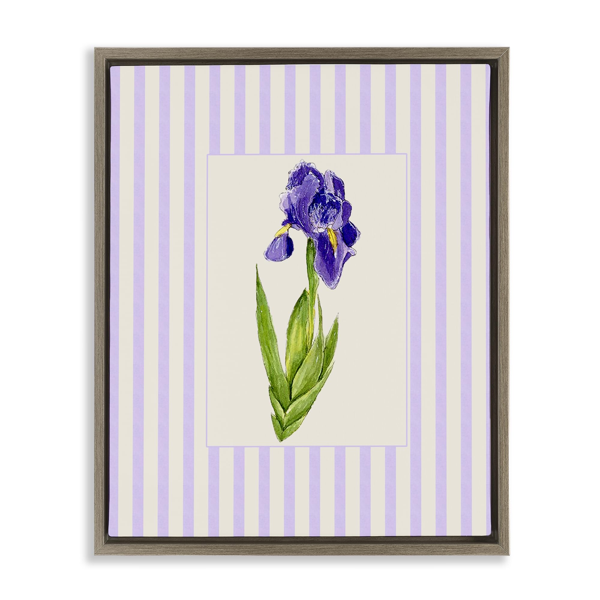 'Purple Stripe Iris'| Floating Frame Canvas Art