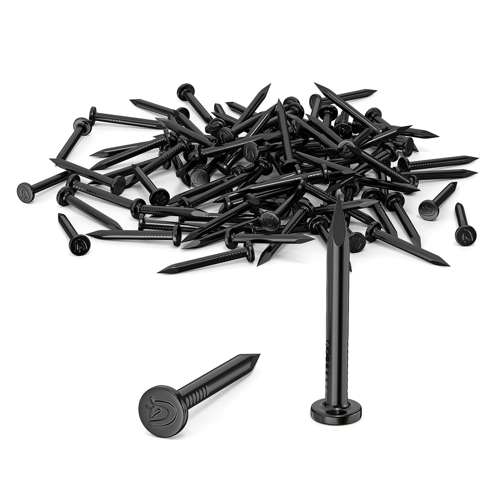 Chiodi in Acciaio da 30mm Zincati per Cemento, Mattoni, Legno, Uso Universale Interno/Esterno (Nero)