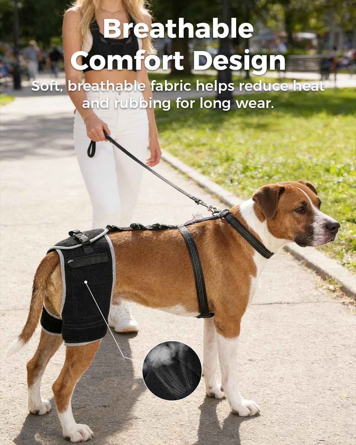 Soporte para displasia de cadera para perros, soporte de cadera para perros con terapia de frío y calor, 2 paquetes de gel incluidos, bolsillo de intercambio rápido, soporte ajustable para