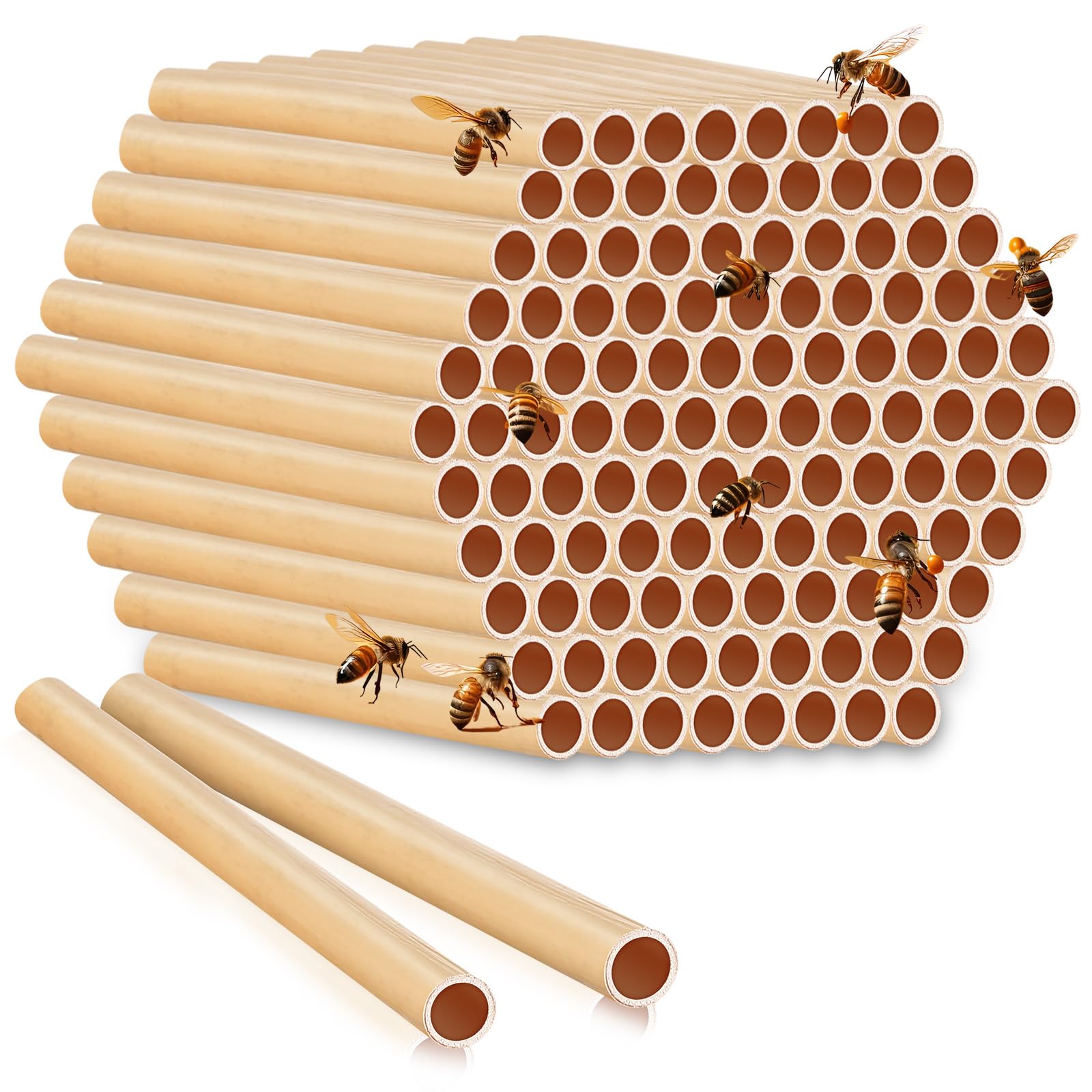 Tubes d'abeilles en roseaux pour remplacer les vieux nichoirs et stopper les parasites