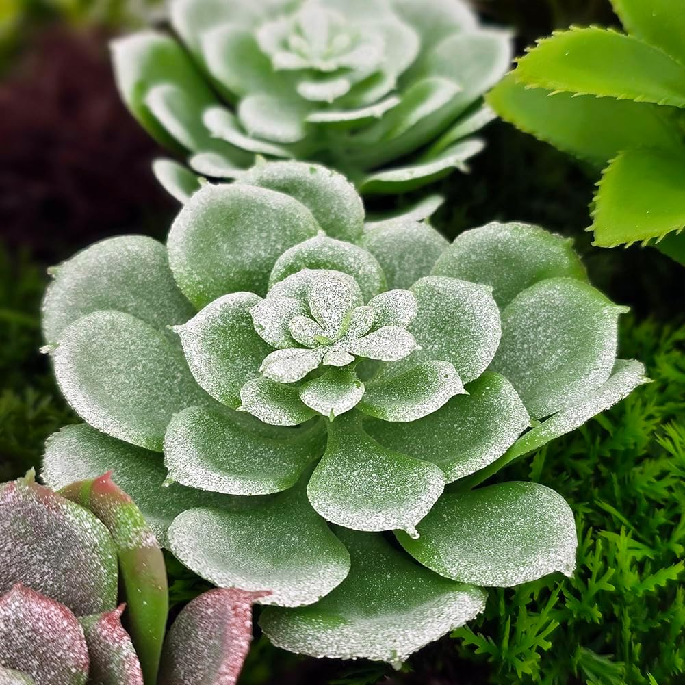 Vandue Modern Home 20" Circle Vertical Hanging Artificial Succulent Wall Art - Wall Mount 3D Garden Greenery - Indoor/Outdoor Faux Plant Art Decor (Verdant)