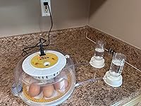 Review Image by Patrick Stone Patrick Stone