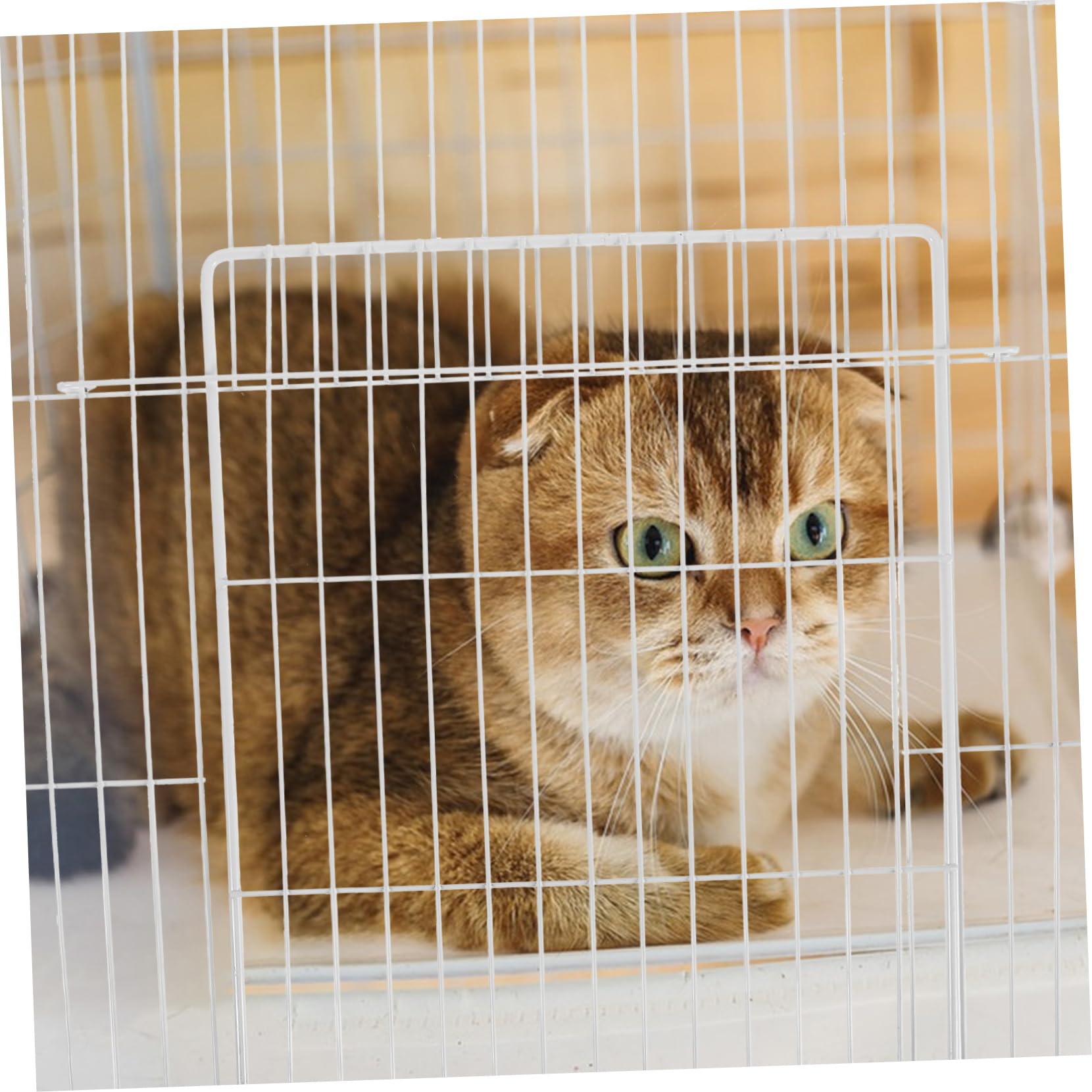 ORFOFE Katzengehege Paneel aus Eisen mit Engmaschigem Gitter und Abnehmbarer Tür 35x35cm Modularer Aufbau für Zuhause und Katzenvilla im Villa Stil