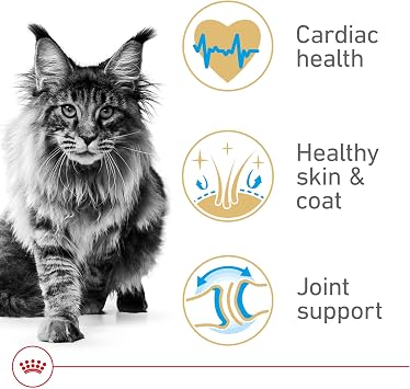 Royal Canin Feline Breed Nutrition Maine Coon Adult Dry Cat Food, 14 lb Bag